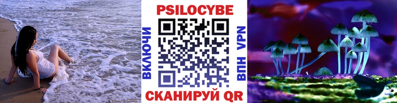 Псилоцибиновые грибы Psilocybine cubensis  Суоярви 